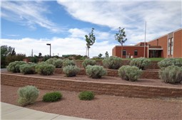 Sun Valley Apartments - JL Gray